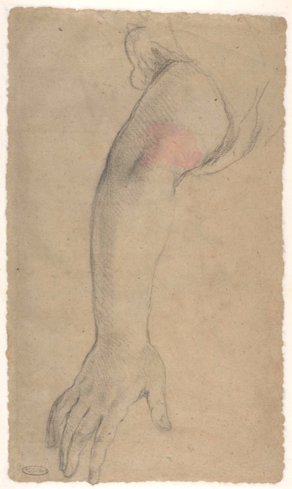 Head of Pope Urban VIII (Maffeo Vincenzo Barberini) (recto); An Outstretched Arm (verso) MET DP801320
