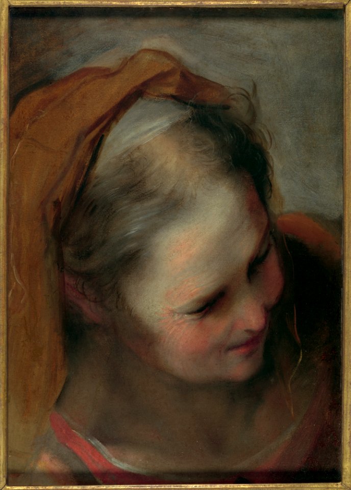 Head of an Old Woman Looking to Lower Right (Saint Elizabeth) MET DP102188~1
