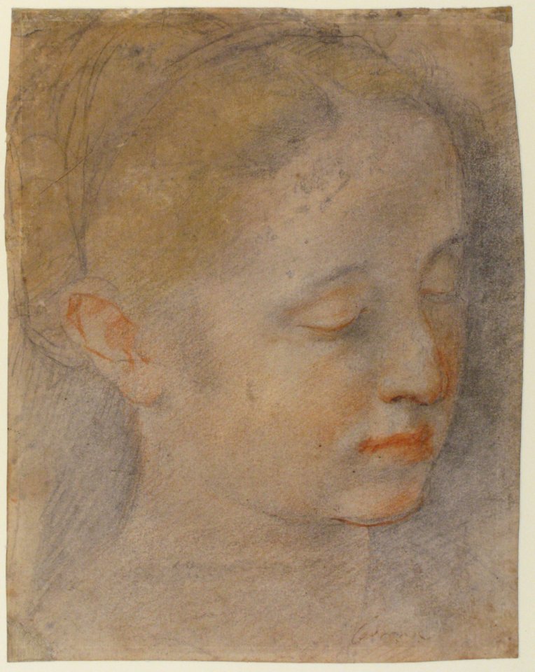 Head of a Young Woman Looking to Lower Right MET 64.136.3