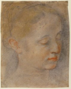 Head of a Young Woman Looking to Lower Right MET 64.136.3