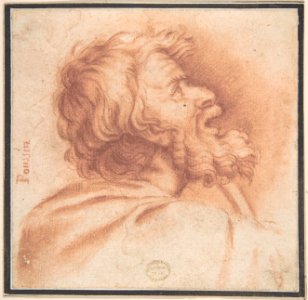 Head of Bearded Old Man Shown in Profile, Looking Up MET DP802422