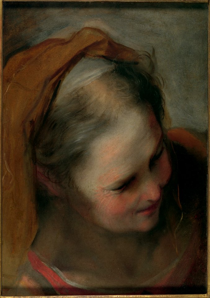 Head of an Old Woman Looking to Lower Right (Saint Elizabeth) MET DP102188