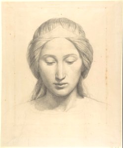 Head of an Angel MET DP807913