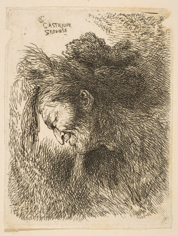 Head of an old Man looking down, facing Left MET DP816524