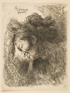 Head of an old Man looking down, facing Left MET DP816524