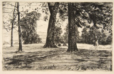 Greenwich Park MET DP813290