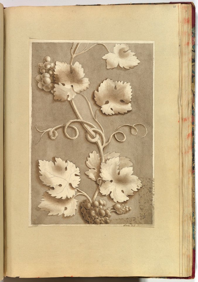 Grapes and Vine-leaves MET DP827631