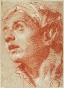 Head of a Young Man in Three-Quarter View. MET DP132692