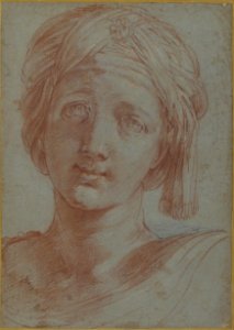 Head of a Young Woman Wearing a Turban MET 66.56.2