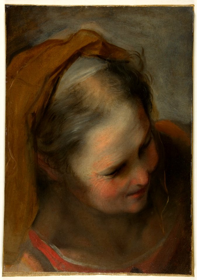 Head of an Old Woman Looking to Lower Right (Saint Elizabeth) MET DP812341