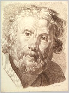 Head of Bearded Old Man MET DP819796