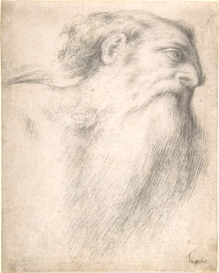 Head of a Bearded Man MET DP810264