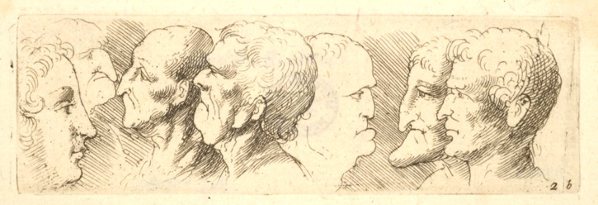 Head studies MET DP823778