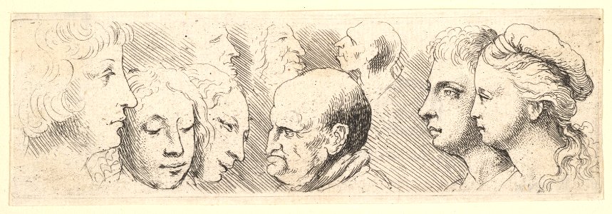 Head studies MET DP823730