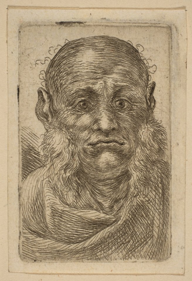 Head of Old Man MET DP817648