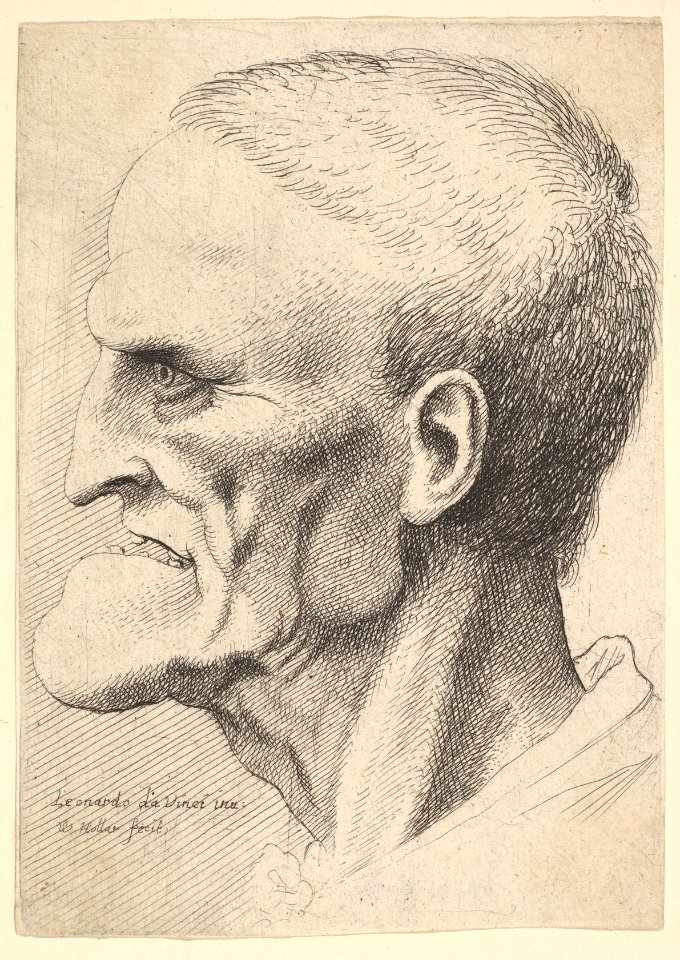 Head of an old man with a pronounced chin, short cropped hair and gaping mouth showing teeth in profile to left MET DP823726