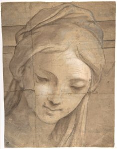 Head of a Young Woman in Three-Quarter View Facing Left MET DP801337