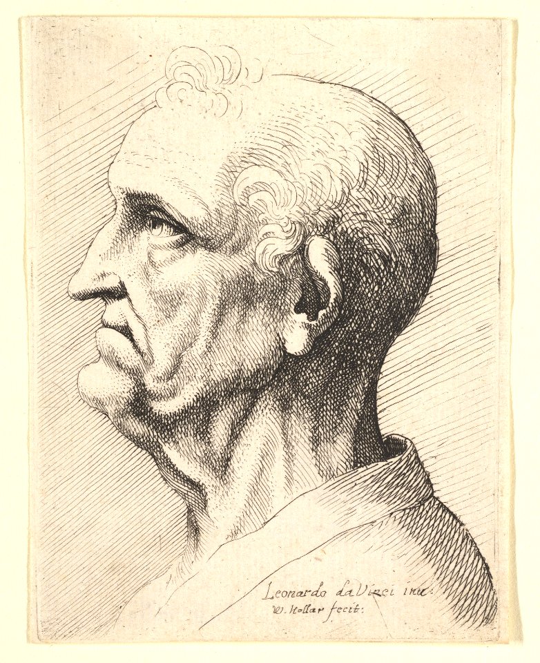 Head of an old man with tufts of curly hair around ear in profile to left MET DP823769