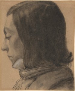 Head of a Young Man in Profile, to the Left MET DP806446