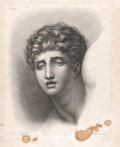 Head of Young Man MET DP874627