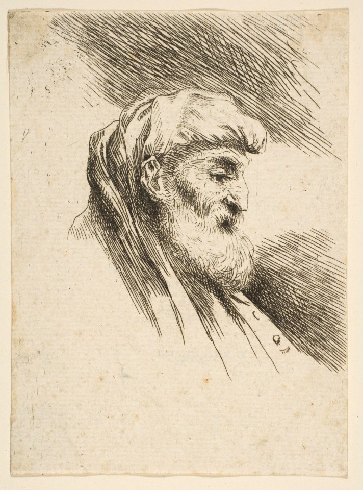 Head of an old bearded Man facing Right MET DP816499