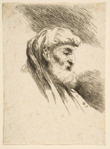 Head of an old bearded Man facing Right MET DP816499