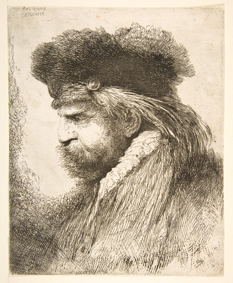 Head of an old Man facing Left MET DP816506