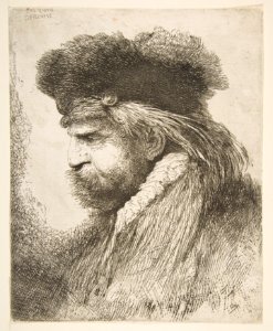 Head of an old Man facing Left MET DP816506
