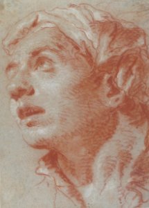 Head of a Young Man in Three-Quarter View. MET 2005.330.7