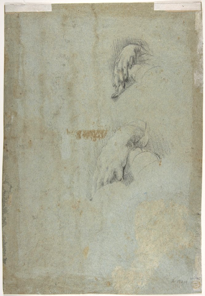 Head of a Pope(?) (recto); Two Studies of Left Hand (verso) MET DP807851
