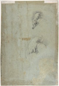 Head of a Pope(?) (recto); Two Studies of Left Hand (verso) MET DP807851