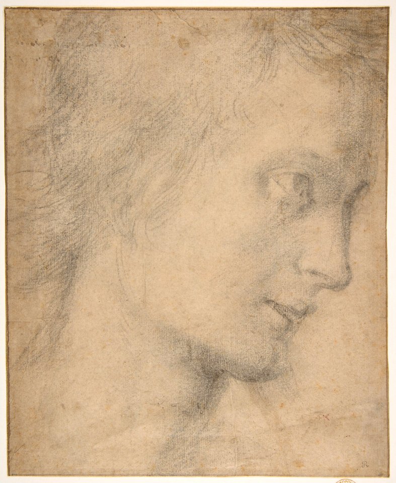 Head of a Youth in Profile (recto); Study of a Seated Figure (verso) MET DP811757