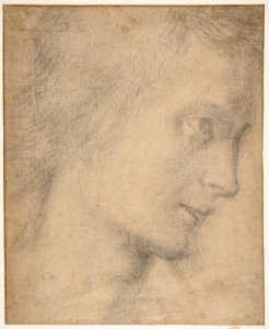 Head of a Youth in Profile (recto); Study of a Seated Figure (verso) MET DP811757