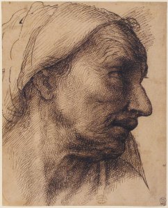 Head of an Old Woman MET 12.56.7