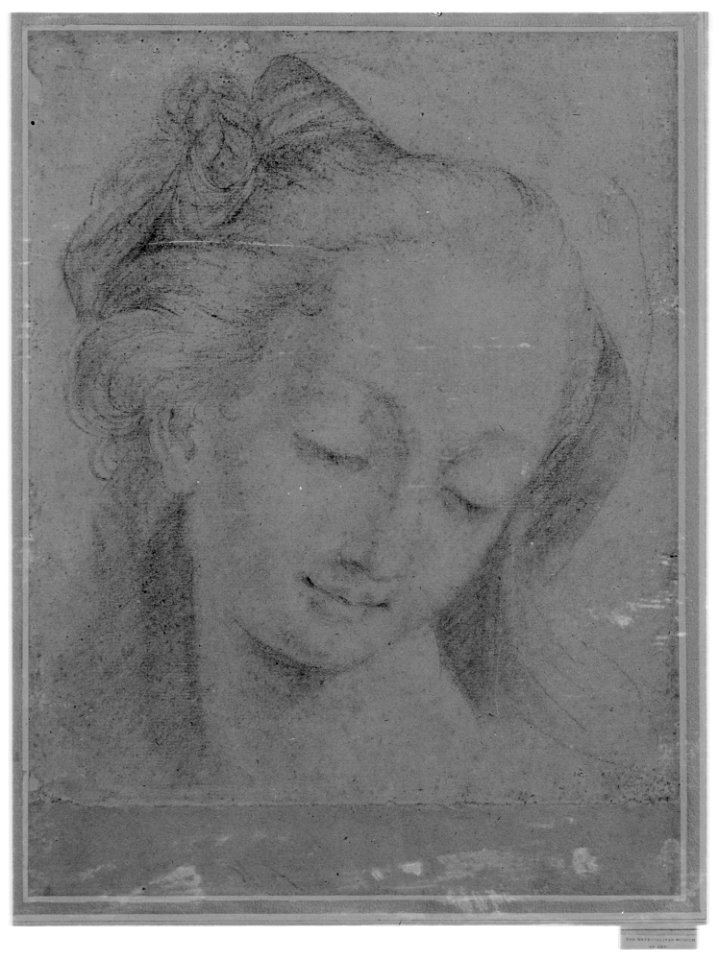 Head of a Woman MET 3025