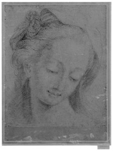 Head of a Woman MET 3025