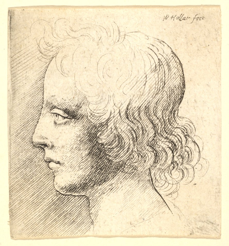 Head of Young Man MET DP823704