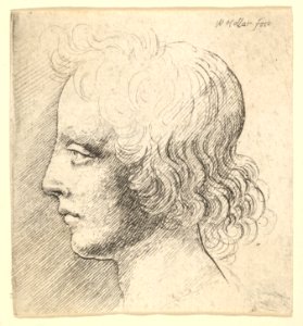 Head of Young Man MET DP823704