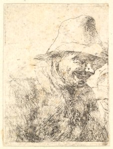 Head of a Peasant MET DP828638