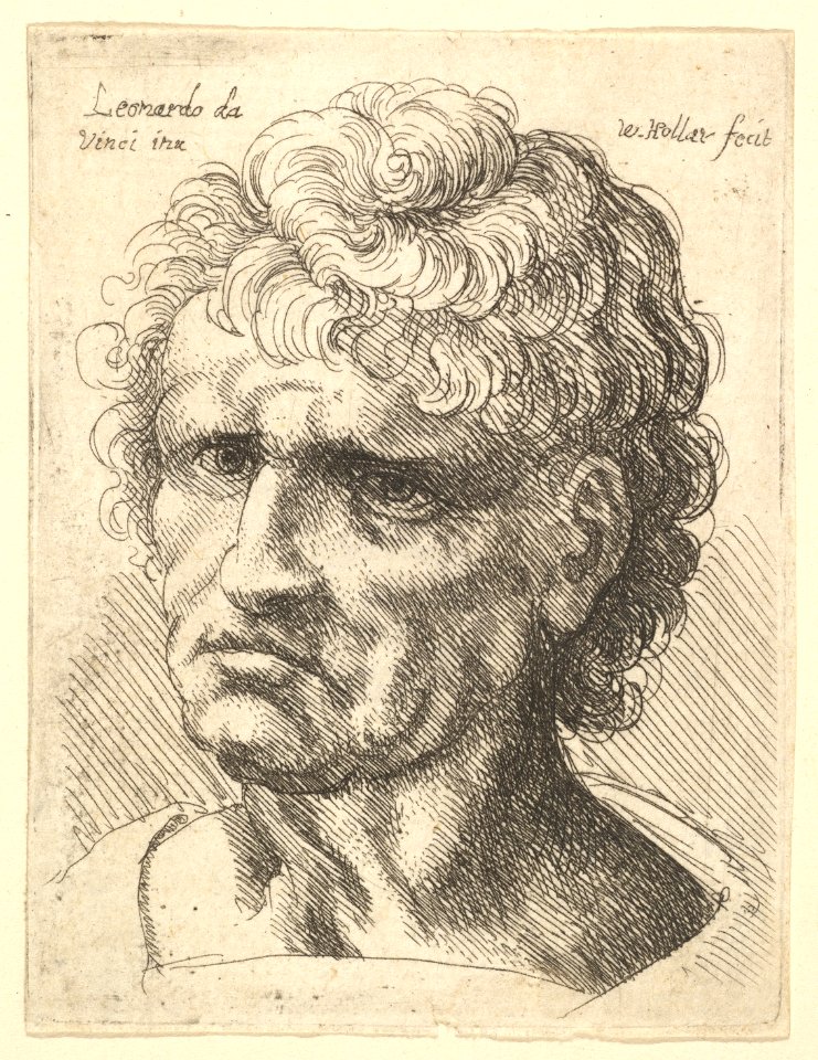 Head of a man with serious expression MET DP823716