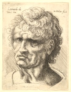 Head of a man with serious expression MET DP823716