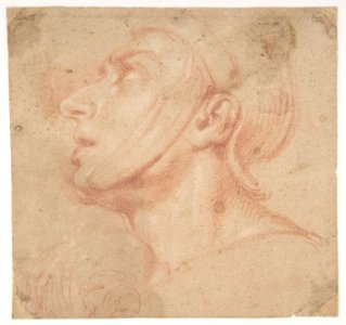 Head of a Man Wearing a Helmet, Looking to Upper Left (recto); Two Sketches, Arms and Hands (verso) MET DP810381