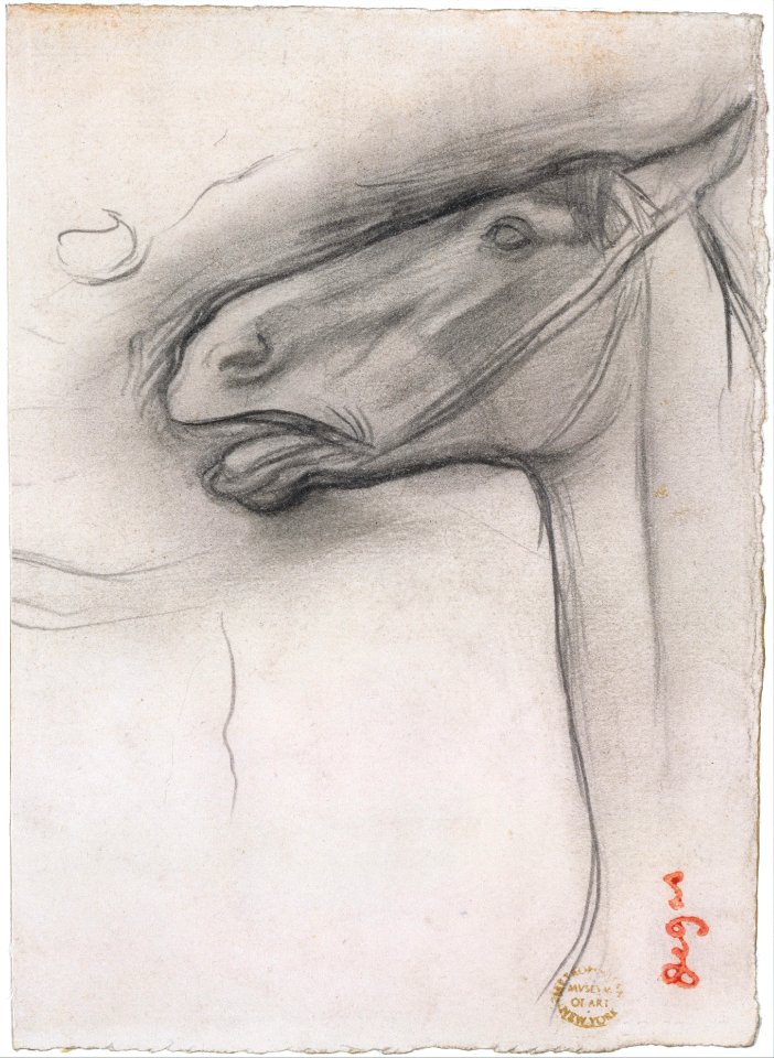 Head of a Horse MET DT11919