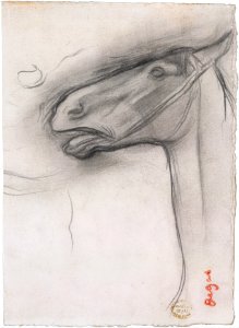Head of a Horse MET DT11919