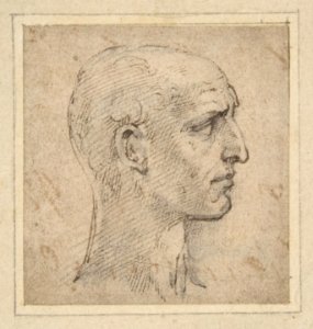 Head of a Man in Profile to Right MET DP810981