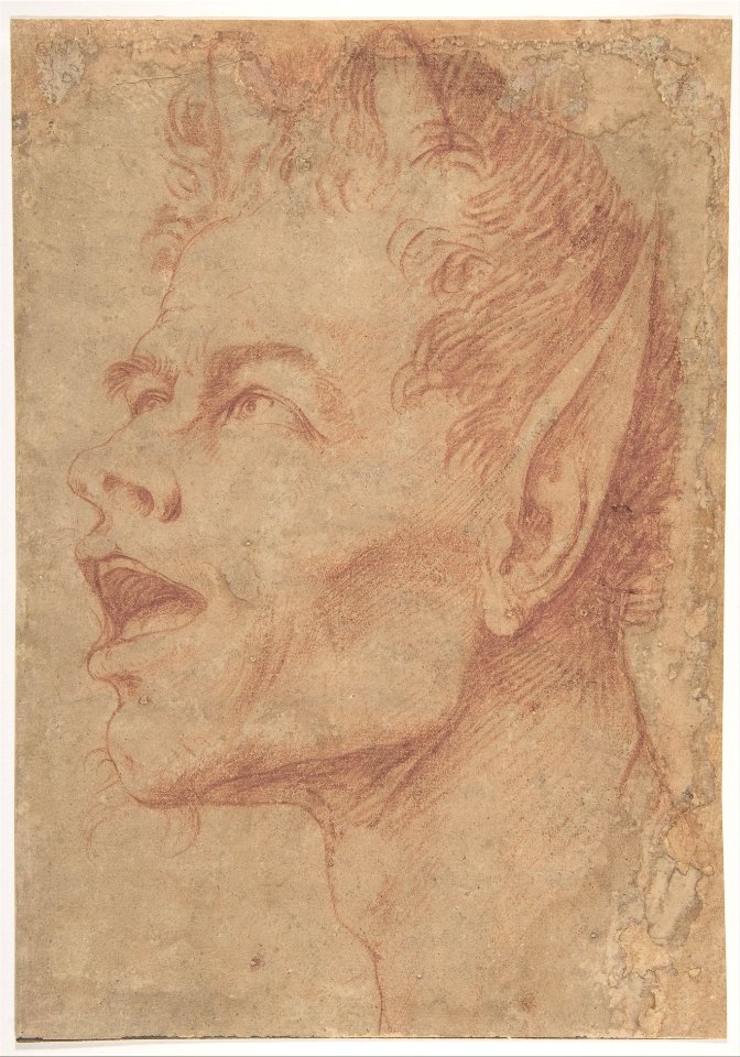 Head of a Satyr Facing Left MET DP800291