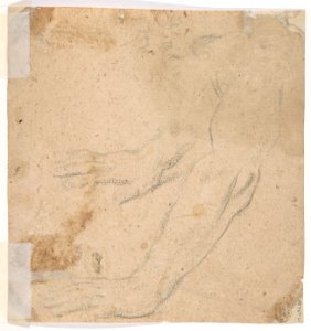 Head of a Man Wearing a Helmet, Looking to Upper Left (recto); Two Sketches, Arms and Hands (verso) MET DP810382