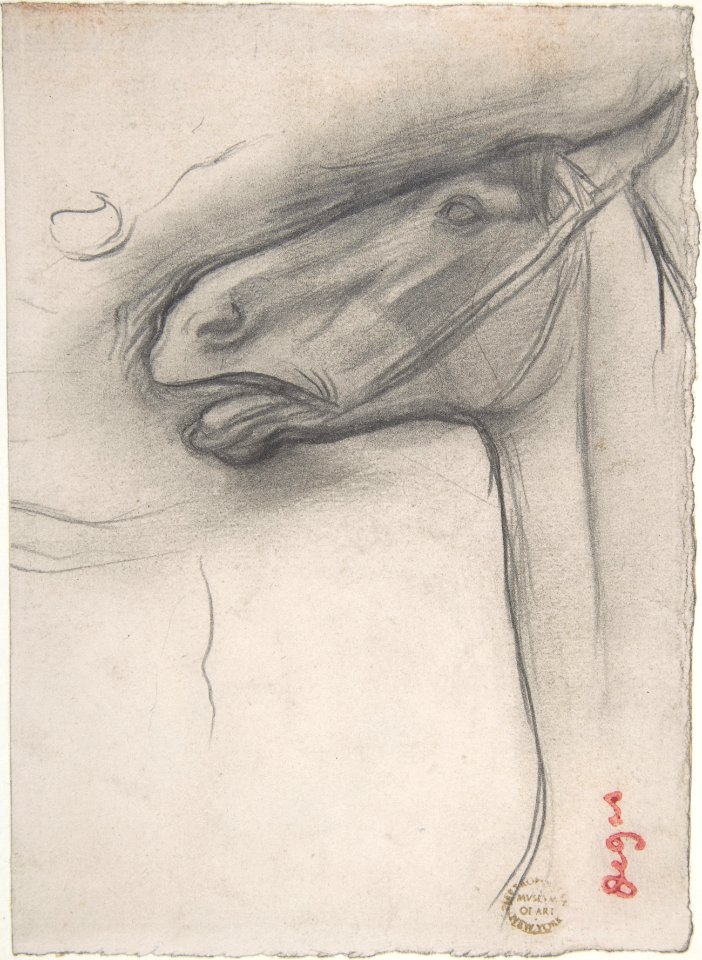 Head of a Horse MET DP805821