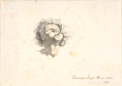 Head of a Putto MET DP803117