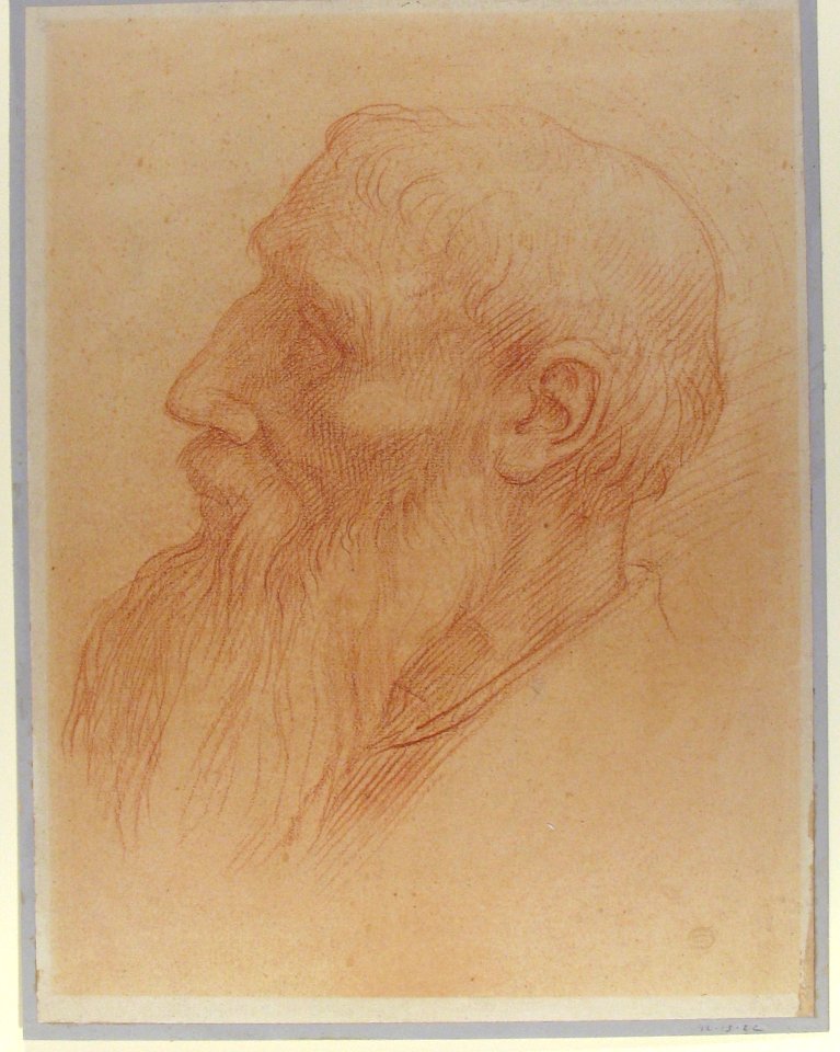 Head of a Man MET 92.13.22
